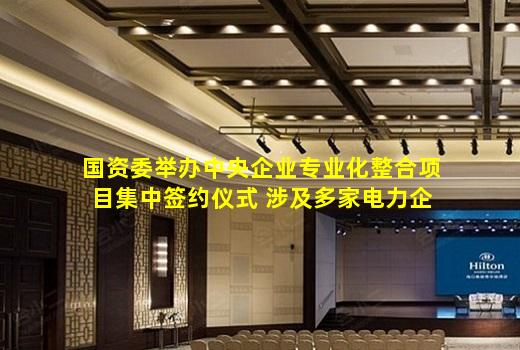 kaiyun登入-国资委举办中央企业专业化整合项目集中签约仪式 涉及多家电力企业